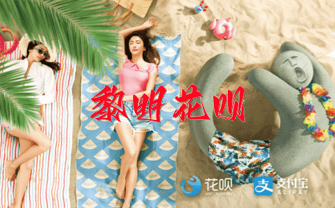龙飞凤舞花呗